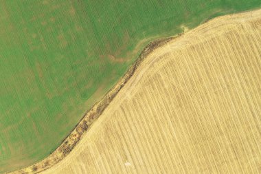 Sonbahar tarlasında gün batımı. 