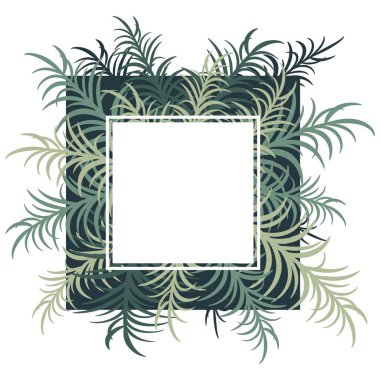 Palm ile botanik kartı bırakır. Vektör görüntü. EPS 10