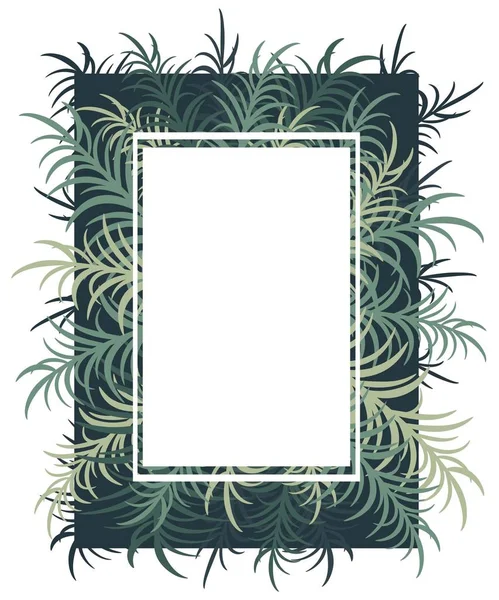 Botanische Karte Mit Palmblättern Vektorbild Folge — Stockvektor