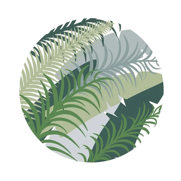 Ronde Tropische Achtergrond Met Palm Bladeren Vector Afbeelding Eps — Stockvector