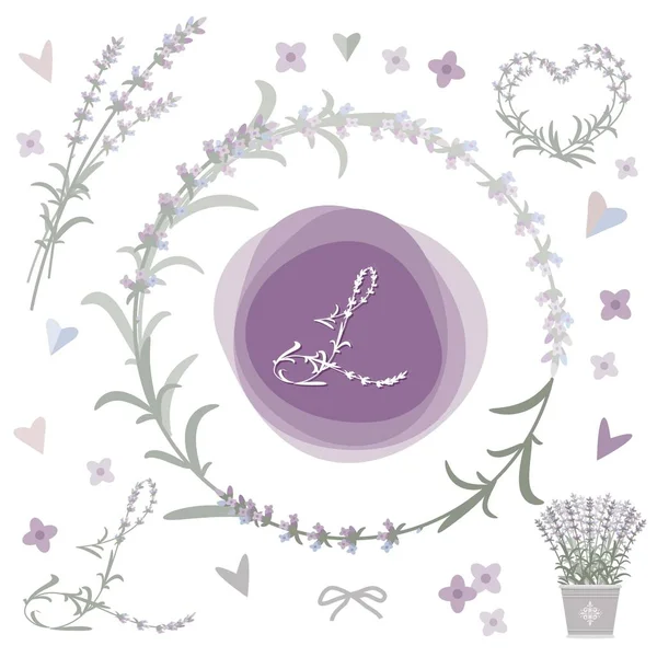 Collection of vector design elements with lavender. — Stock Vector