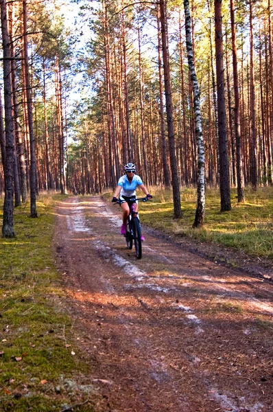 Jovem Esporte Desgaste Com Andar Bicicleta Floresta Verão — Fotografia de Stock