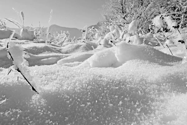 Paesaggio Smorzato Neve Sole Bianco Nero — Foto Stock