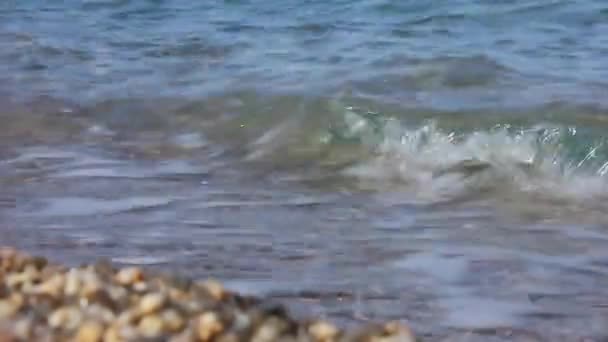 Gros Plan Sur Les Vagues Mer Vidéo — Video