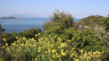 Güzel Deniz Manzaralı, temiz su, Halkidikya, Yunanistan ile Yunan mavi deniz