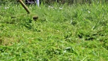 Adam yeşil yabani ot fırça kesici, hd video ile mows