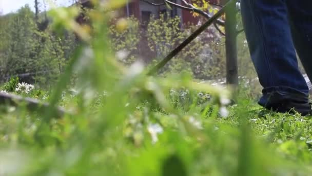 Hombre Siega Hierba Verde Salvaje Con Cortador Cepillo Video — Vídeos de Stock