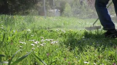 Adam yeşil yabani ot fırça kesici, hd video ile mows