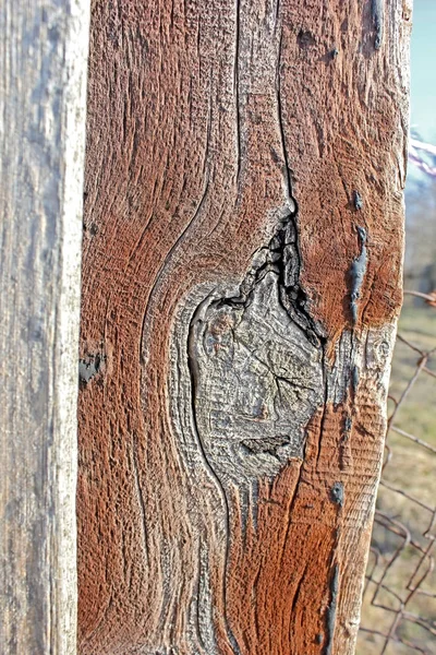 Alten Holz Hintergrund Aus Nächster Nähe — Stockfoto