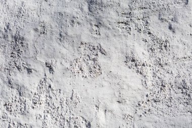 eski boyalı yeşil ahşap doku