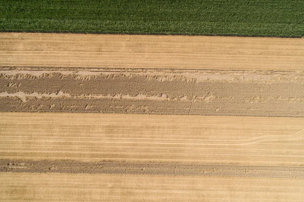 Harvesting Cornbine Summer Aerial Top View — Stock Photo, Image