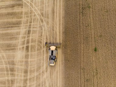 Cornbine yaz hava üstten görünüm, hasat