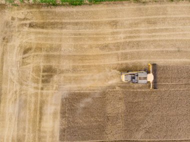 Cornbine yaz hava üstten görünüm, hasat