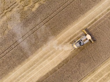 Cornbine yaz hava üstten görünüm, hasat