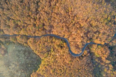 Sonbahar Mecsek ormandaki virajlı yol havadan görünümü