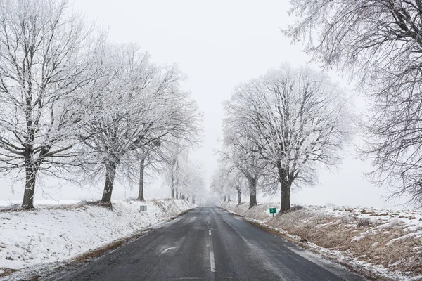 Winter Weg Met Besneeuwde Landschap — Stockfoto