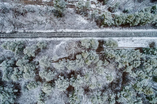 Cale Ferată Pădure Înzăpezită Ungaria — Fotografie, imagine de stoc