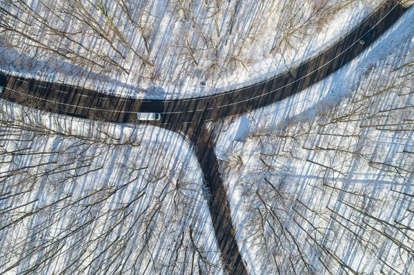 匈牙利有雪林的道路 — 图库照片