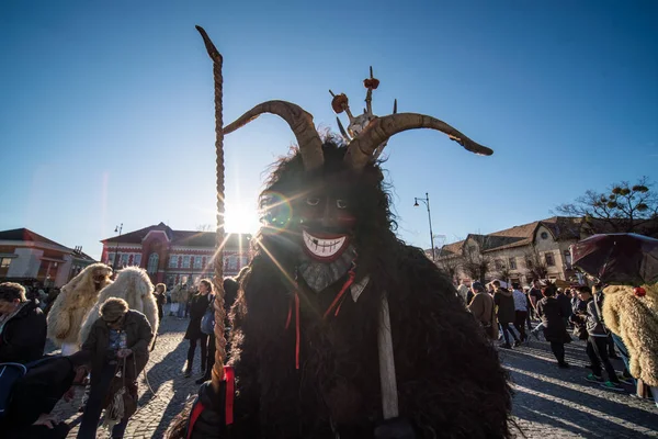 Mohacsi Busojaras carnival for spring — Stock Photo, Image