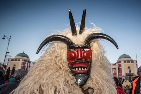 Mohacsi Busojaras carnaval voor de lente — Stockfoto