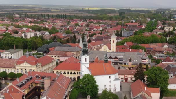 Vista Aérea Szigetvar Zrinyi Ter — Vídeo de stock