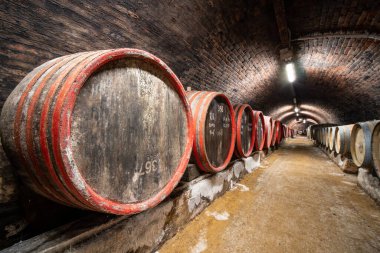 Eski şaraphanedeki ahşap fıçılar