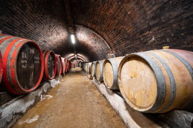 Eski şaraphanedeki ahşap fıçılar