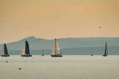 ZAMARDI 29 Temmuz 2020: Yelkenli tekneler 29 Temmuz 2020 tarihinde Macaristan 'ın Zamardi kentinde Balaton Gölü' nde 52.and Kkszalag şampiyonasında yarışacak..