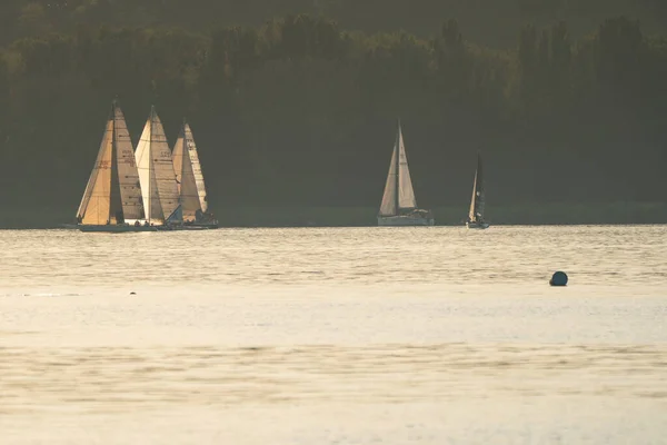 Zamardi Juli Segelboote Messen Sich Bei Der Kkszalag Meisterschaft Plattensee — Stockfoto