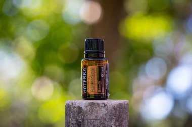 Pecs / Hungray - 21 Ağustos 2020 - Günlük kullanım için Doterra Esnecessary Oil 'in resimsel editoryal görüntüsü