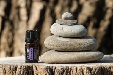 Pecs / Hungray - 19 Eylül 2020 - Günlük kullanım için Doterra Esnecessary Oil 'in resimsel editoryal görüntüsü