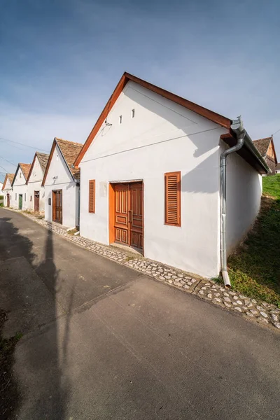 Caves Vin Dans Une Rangée Dans Sud Hongrie Dans Village — Photo