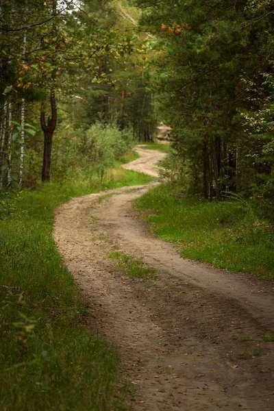 Önde gelen bir yol, orman yatay mesafe içine