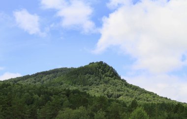 mavi gökyüzü karşı ormanla kaplı dağ