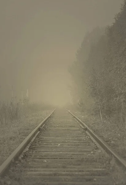 Railway Track Fog Trees Power Lines — Stock Photo, Image