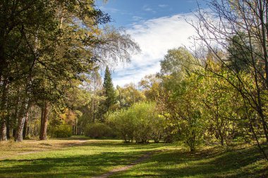 Mavi gökyüzü arka plan üzerinde sarı ağaçları ile Sonbahar Park