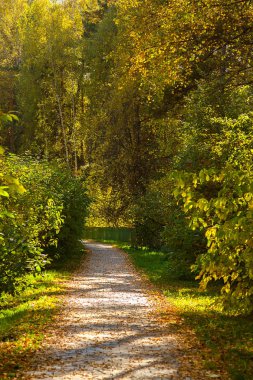 Bir yol ve bir çit, parlak, sonbahar yatay