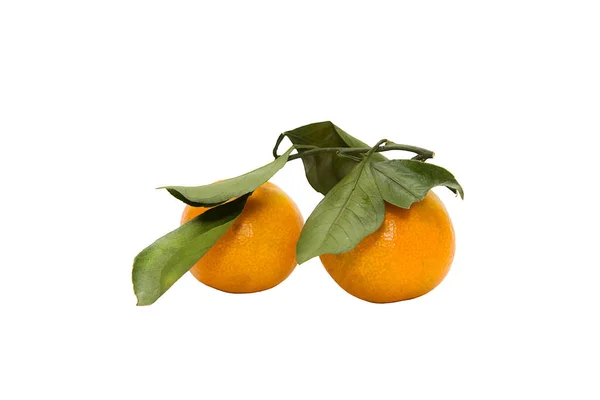 Tangerinas Maduras Com Folhas Verdes Sobre Fundo Branco — Fotografia de Stock