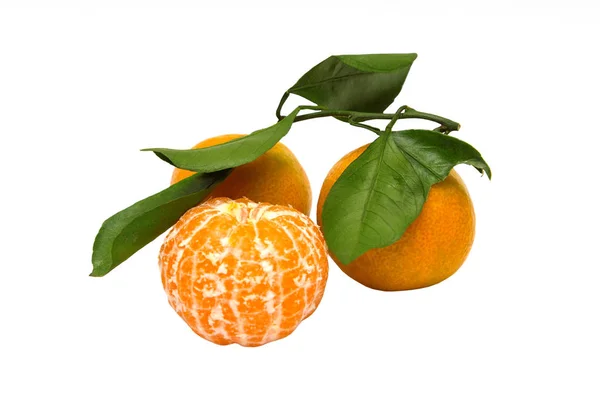 Reife Mandarinen Mit Grünen Blättern Auf Weißem Hintergrund — Stockfoto