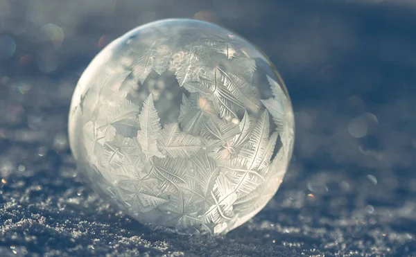 Karda donmuş kabarcık