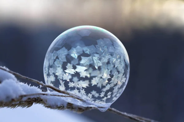 Sabun köpüğü donmuş, bulanık arka plan üzerinde yakın çekim