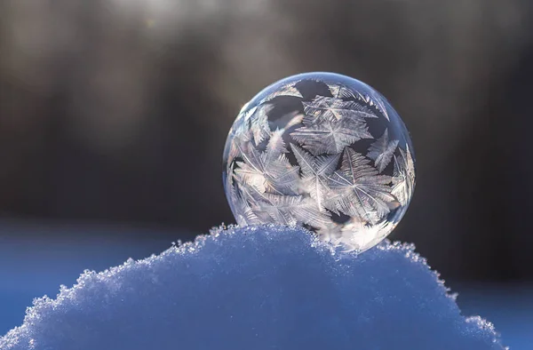Замороженный Мыльный Пузырь Снегу Закрывается Размытом — стоковое фото