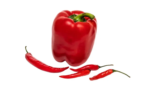 Piros Chili Paprika Fehér Háttér Közelről — Stock Fotó