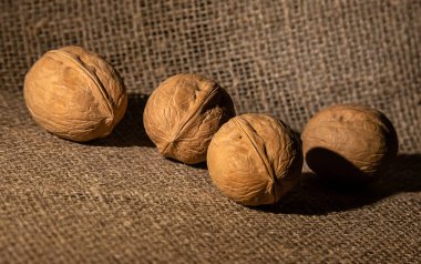 Kaba kumaş portre üzerinde ceviz