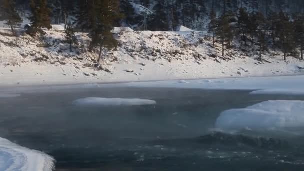 Schnelles Fließen Des Katun Flusses Zwischen Eis Und Schnee — Stockvideo