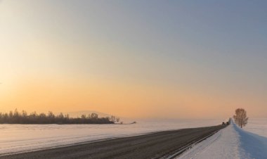 Gökyüzü karşı dağlar karlı expanses bırakarak ve kuş uçan yolun kenarında yalnız ağaç