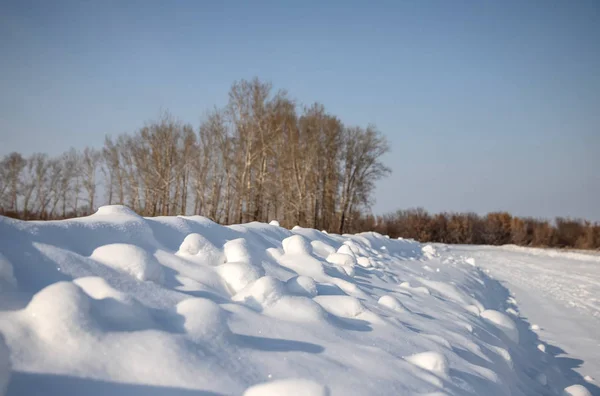 Снег Дрейфует Фоне Высоких Деревьев Голубого Неба — стоковое фото