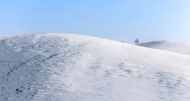 Güzel, kış dağ manzarası açık, mavi gökyüzü, ağaçlar ve Altay bölgesi yoldan gidiyor arka plan üzerinde