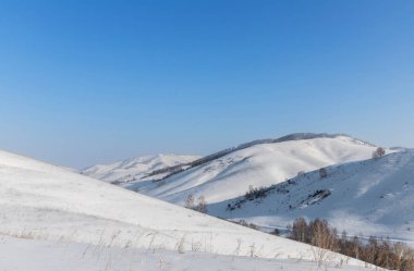 Güzel, kış dağ manzarası açık, mavi gökyüzü, ağaçlar ve Altay bölgesi yoldan gidiyor arka plan üzerinde