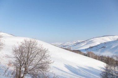 Güzel, kış dağ manzarası açık, mavi gökyüzü, ağaçlar ve Altay bölgesi yoldan gidiyor arka plan üzerinde